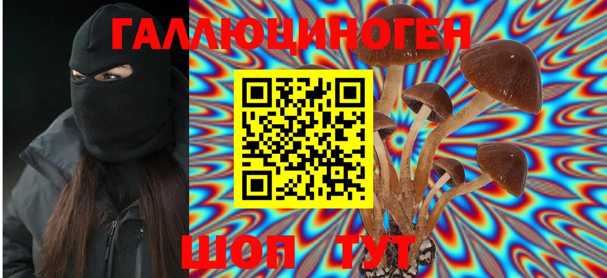 Новочебоксарск  Галлюциногенные грибы мицелий  Вход с VPN 