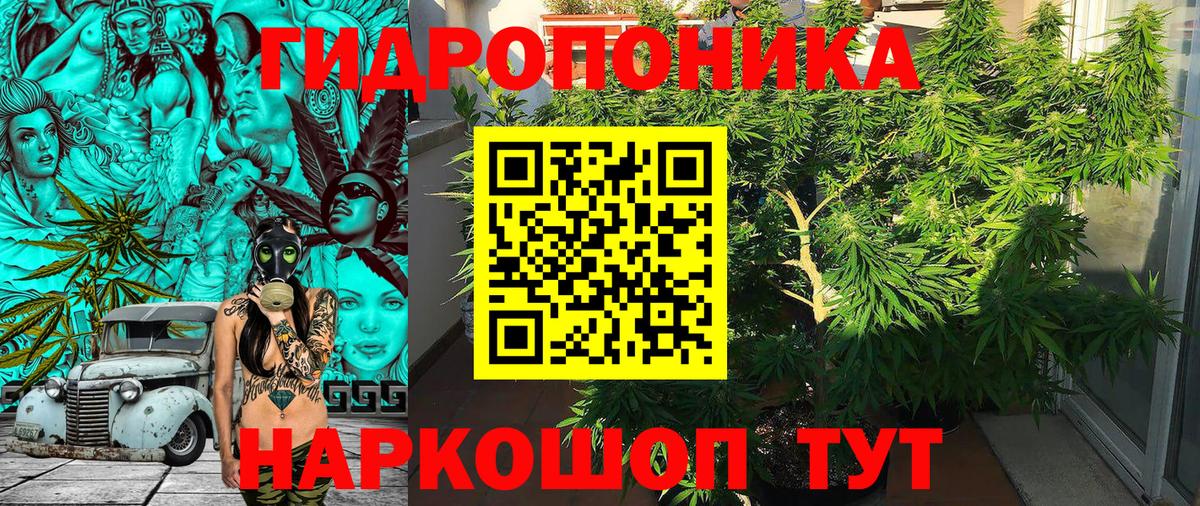 МАРИХУАНА сатива Новочебоксарск